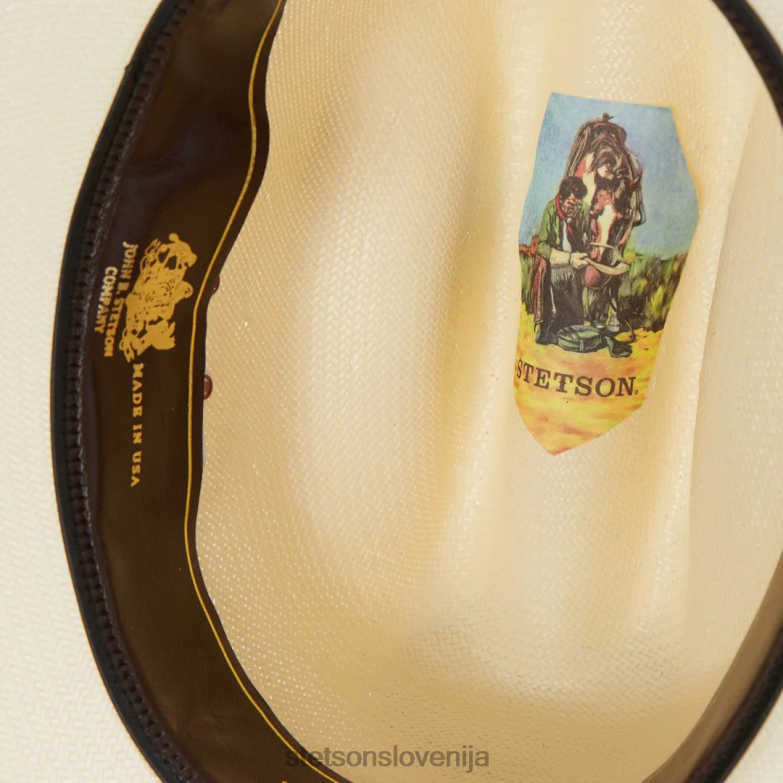 Stetson uniseks haywood 10x slamnati kavbojski klobuk Z6H88178 naravno pokrivala